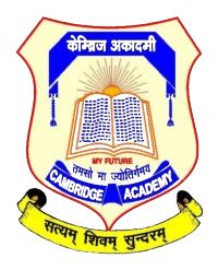 Cambridge Academy Deogarh logo